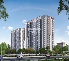 Disha Pursuit Of Sunshine Featured Image