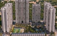 Disha Pursuit Of The Elements Featured Image