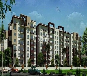 Divya JSR Limelite