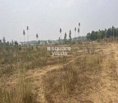 DJP Theodor Featured Image