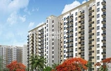 DLF My Town UNO Featured Image