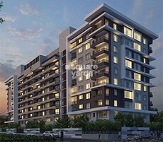 DNR Spring Leaf Featured Image