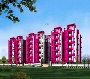 Dreamz Shikhar