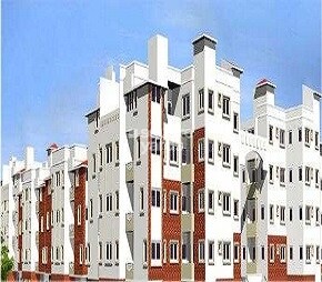 Dreamz Trinity Sunrise Featured Image