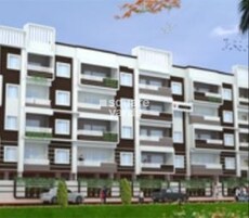 DS MAX Season Featured Image