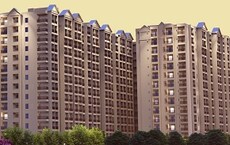 DS Max Sky Shlokam Featured Image