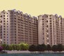 DS Max Sky Shlokam Flagship Image