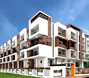 DS Max Splendid