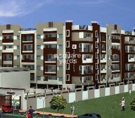 tn ds max sprinkles project flagship1