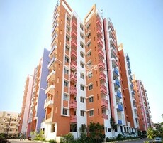 DSR Spring Beauty Featured Image