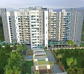 DSR Waterscape