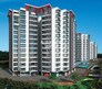 Durga Petals Flagship Image