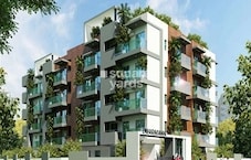 Dwarakamai Apex 3 Featured Image