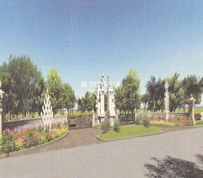 Earthen Forest In My Backyard