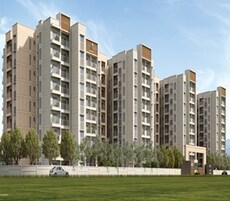 Ebony At Brigade Orchards Featured Image