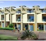 Edifice Almond Tree Flagship Image