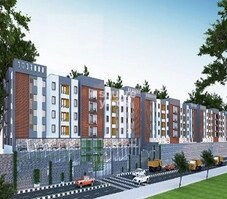 Elegant Altima Featured Image