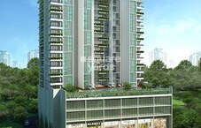 Elegant Senate Featured Image