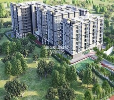 Elegant Tranquility Featured Image