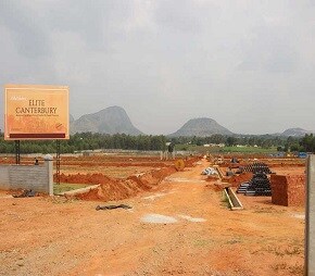 Elite Canterbury