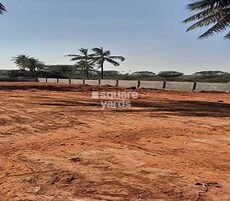 Elite ECL Petal Featured Image