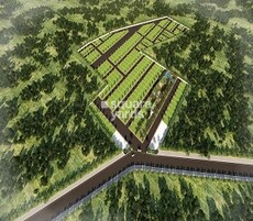 Elite Serenity Featured Image