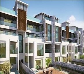 Embassy Grove
