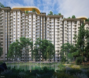 Embassy South Reserve