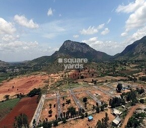 Enrich Nandi Park Featured Image