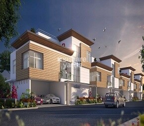 Esteem Northwood