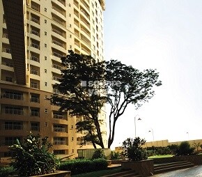 ETA Gardens