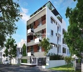 Evantha Tulsi Featured Image