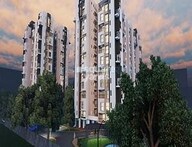 tn expat wisdom tree project flagship1