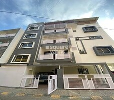 Fern Spring Woods Featured Image