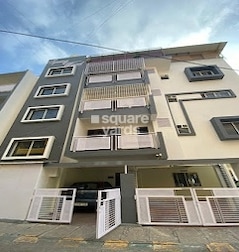 Fern Spring Woods Fern Spring Woods