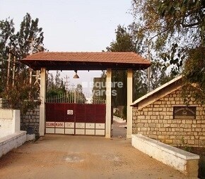 Ferns Cascading Meadows Featured Image