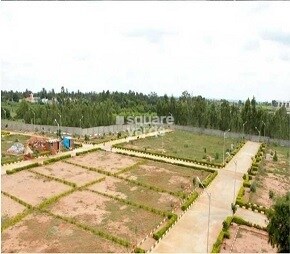 Ferns Gardenia, Sarjapur Road, Bangalore