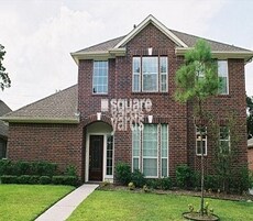 Ferns Habitat Featured Image