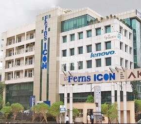 Ferns Icon