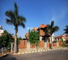 Ferns Meadows Featured Image