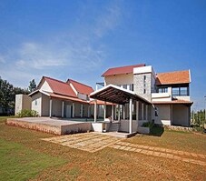 Ferns North Star Featured Image