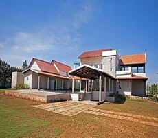 Ferns North Star Featured Image