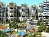 tn fortuna viva project flagship1