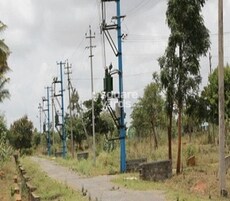 Fortune Lake View Featured Image