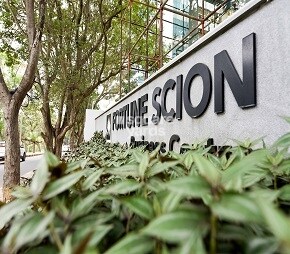 Fortune Scion