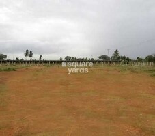 General Insurance Layout Featured Image