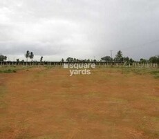 General Insurance Layout Featured Image