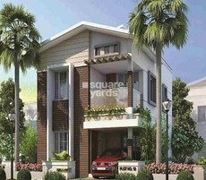 Global Golden Pearl Featured Image