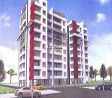 GM Orchids Featured Image