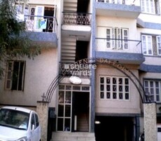 Golden Daffodils Featured Image